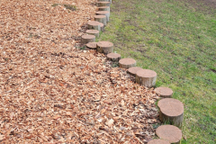 Untitled design - 1